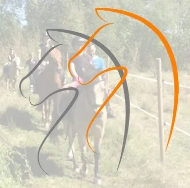 Sommarläger på NHRK 2024