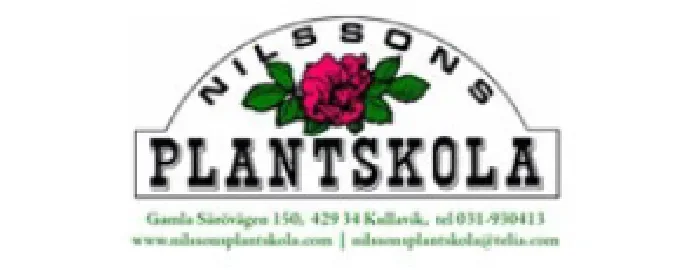 Sponsor