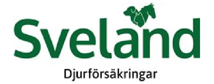 Sponsor